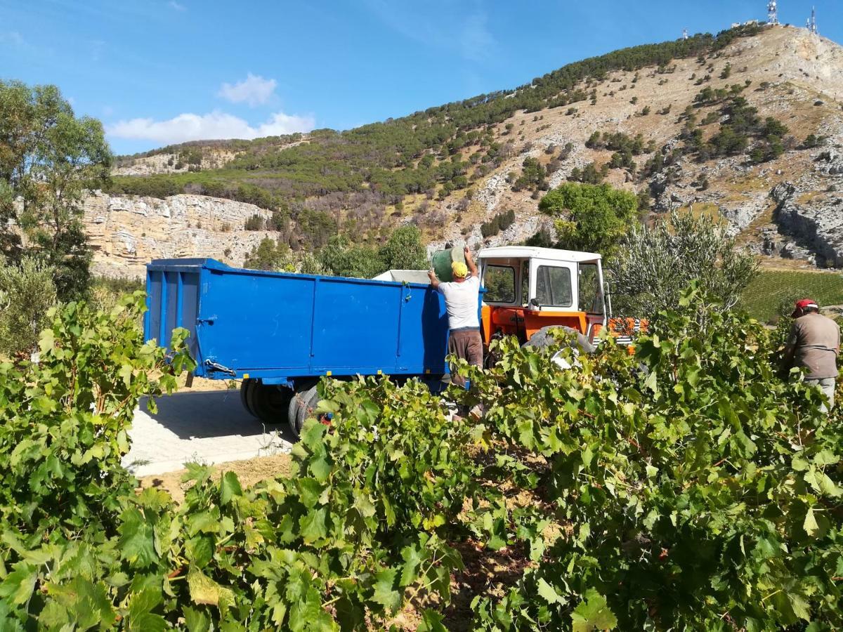 Villa Bonifato Vista Sulle Campagne E Sul Mare Siciliano Cozy House Italy Алкамо Екстериор снимка