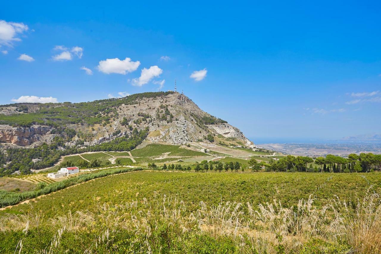 Villa Bonifato Vista Sulle Campagne E Sul Mare Siciliano Cozy House Italy Алкамо Екстериор снимка